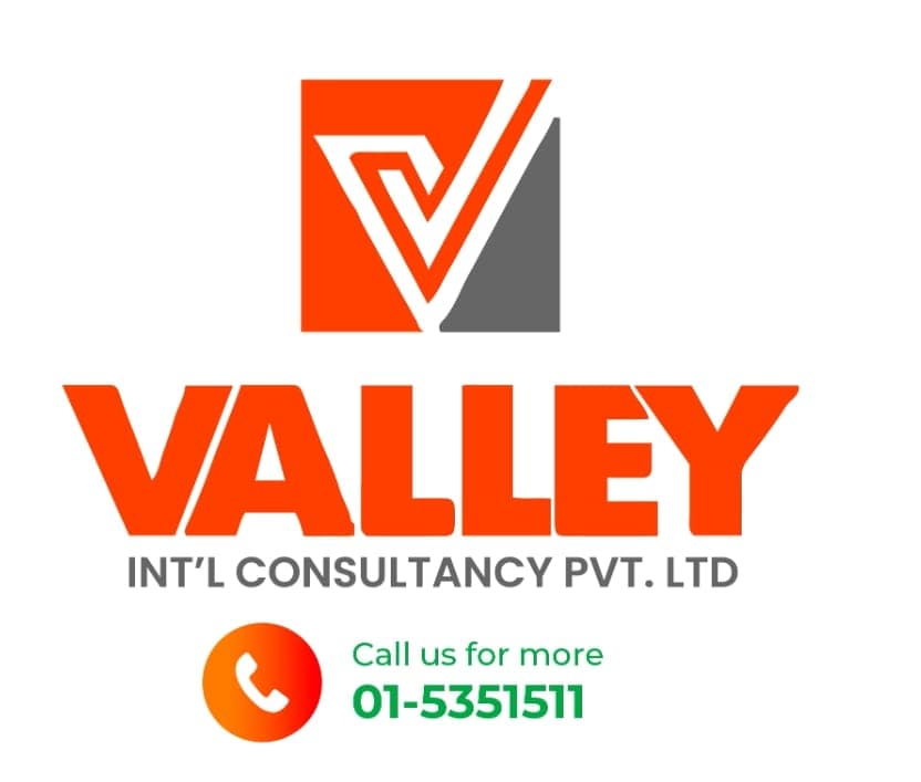 Valley International Consultancy